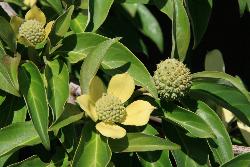 Image: Trevor James © Trevor James 